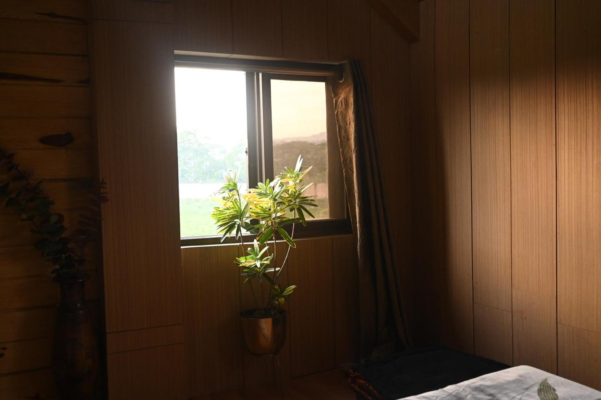 Bed and Breakfast The Cabin By The Bayou Guváhátí Exteriér fotografie